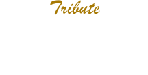 Tribute
Aulne - 3 Tons Sunburst “Aged”
Manche Fender défretté
Micro Seymour Duncan Antiquity II