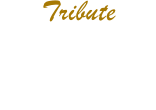 Tribute
Aulne - 3 Tons Sunburst 
“Heavy Aged”
Micros “Hepcat Pickups”
